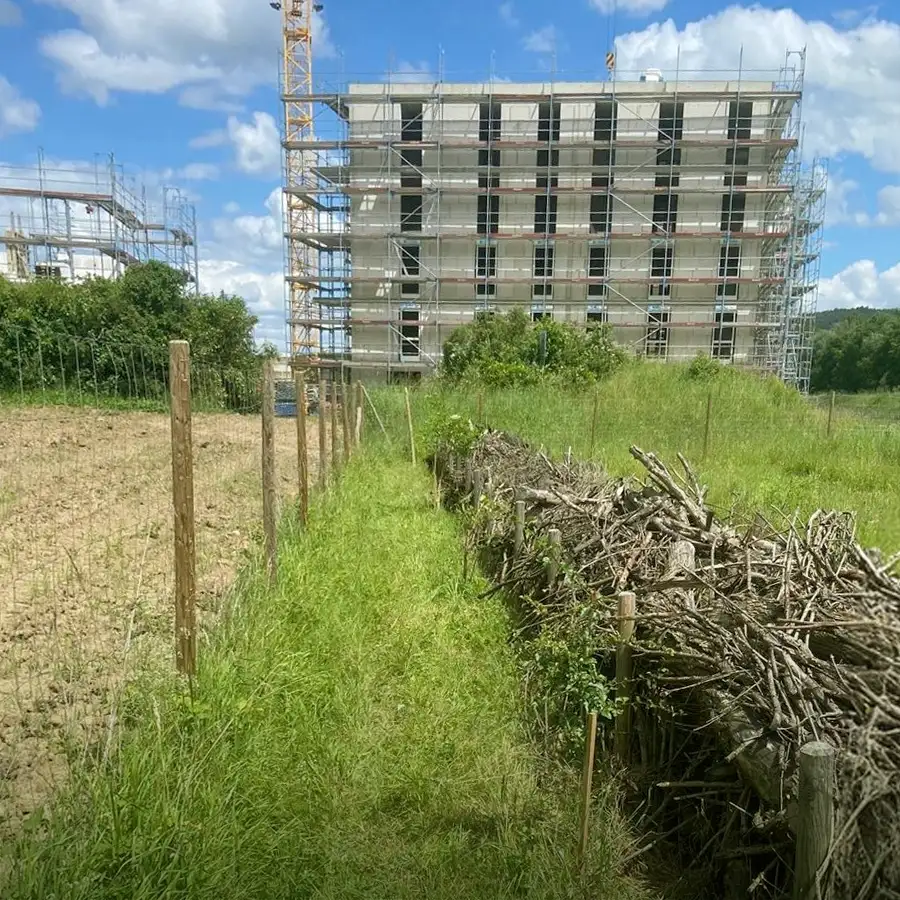 Benjes&shy;hecke