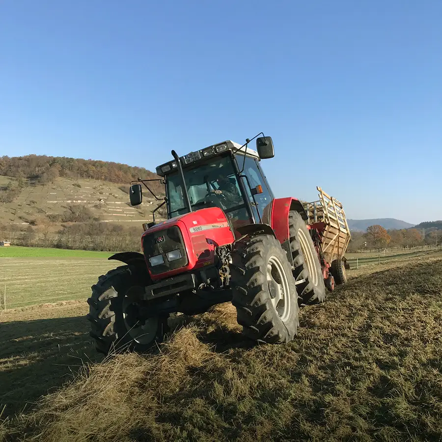 Landschafts&shy;pflege